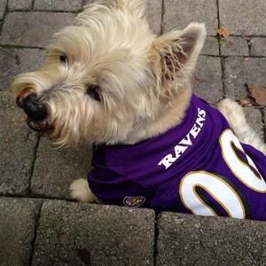 Meet your Posher, Lynette